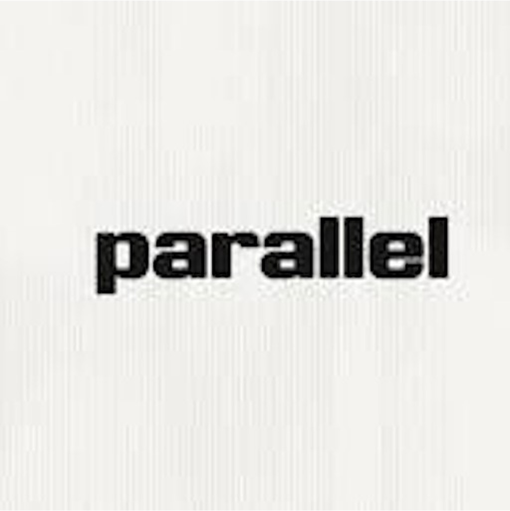 Parallel Search MCP logo